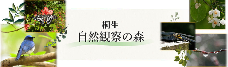 桐生自然観察の森