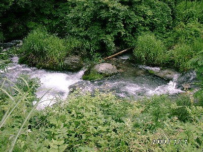 写真:緑の草木に囲まれた清流桐生川