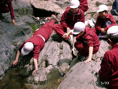 写真:川遊びを楽しむ子供たち