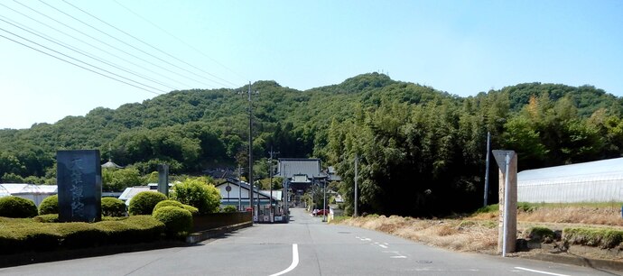 写真:参道南側から望む大雄院全景。背後には八王子丘陵