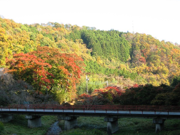 写真:黒保根町の紅葉の様子
