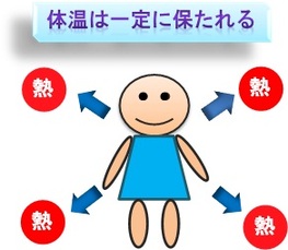 イラスト:通常の身体は熱が放出され体温が一定に維持される様子