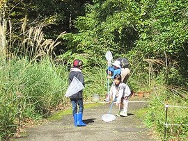 写真:虫網で虫をつかまえている子供たち