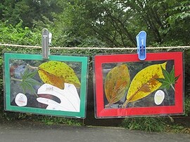 写真:まるでステンドグラスのような葉っぱを使った作品