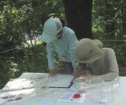 写真:図鑑で虫調べ