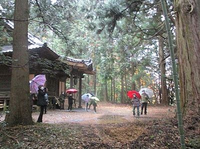 写真:巨樹を見上げながら話を聞く参加者