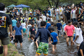 くろほね夏まつり マスのつかみどりの写真
