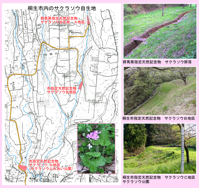 写真:県指定・市指定地区