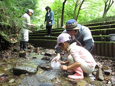 写真:沢で生きものを探す親子