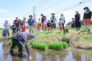 写真:田植え1