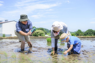 写真:田植え3