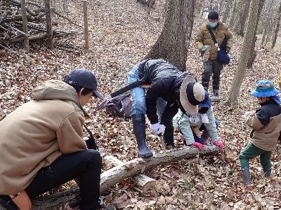 写真:両側の人が木を押さえ真ん中の人がのこぎりで切っている