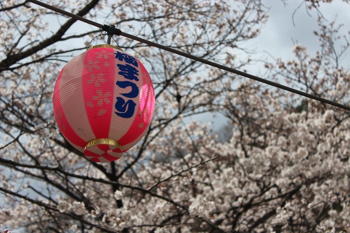 写真：まつり提灯