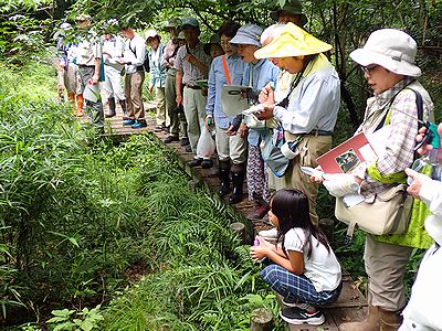 写真:クモ探しをする講師とたくさんの参加者