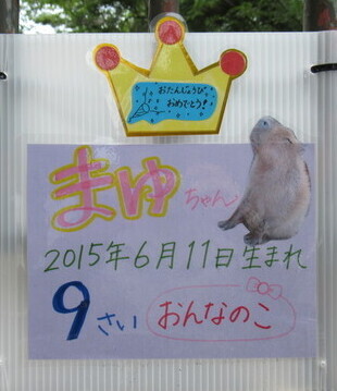 飼育員お手製の看板の写真