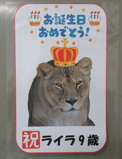 飼育員お手製の看板の写真