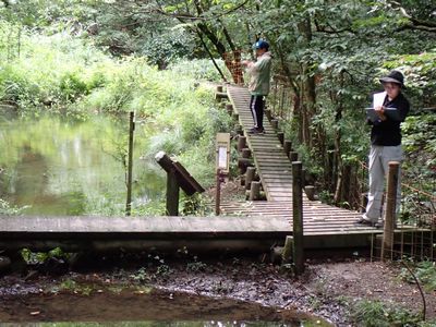 写真:沼の横の木道に立ち、スケッチをする様子