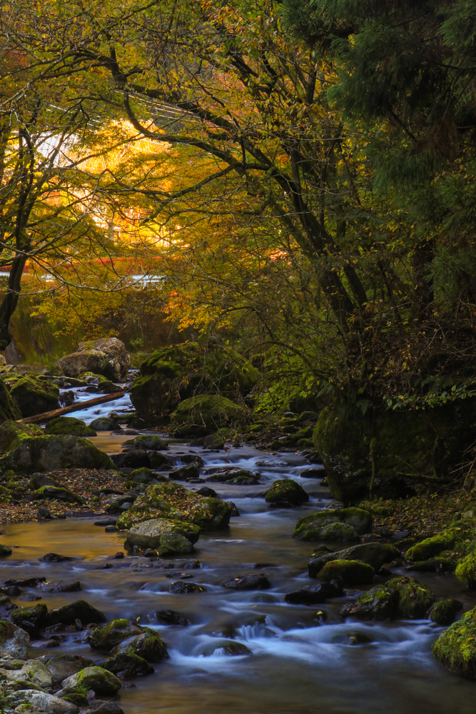 写真:桐生川上流