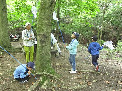 写真:虫あみを持って虫取りにチャレンジする子どもたち