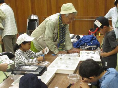 写真:捕まえた生きものを図鑑で調べたりスケッチする子どもたち