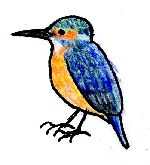 イラスト:青とオレンジのカワセミのイラスト