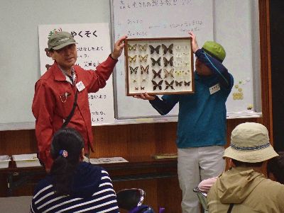写真:標本箱見せながら話すレンジャー