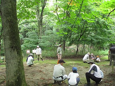写真:葉っぱなど自然のものを集めて感性を磨く
