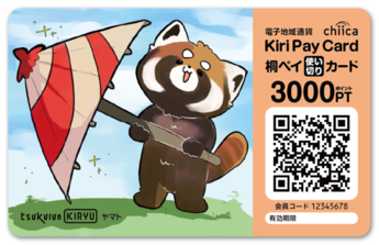 画像：3000ptカード