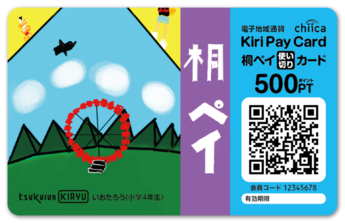 画像：500ptカード