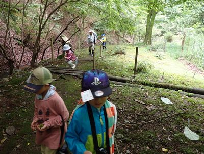 写真:セミの抜け殻や落ち葉を拾い集める子どもたち