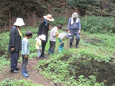 写真:昔は稲を植えていた小さな池