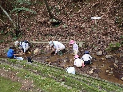 写真:大小様々な石が転がる沢