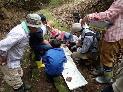 写真:白いバッドに生きものを移して触ったり観察したりする参加者たち