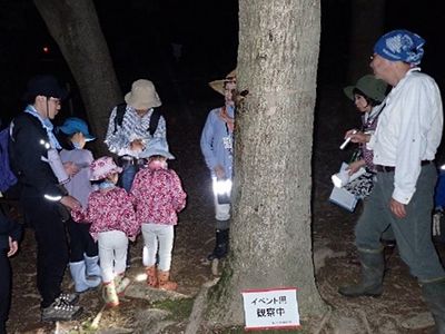 写真:ハンミョウ広場の木にしかけたバナナに集まる虫を観察する参加者たち