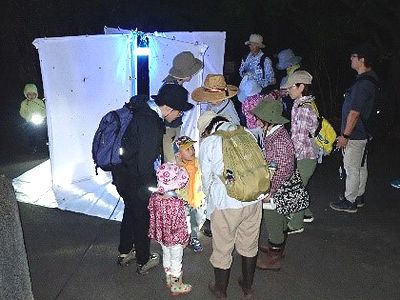 写真:人の背丈もある白い布とライトで作った虫を集める装置