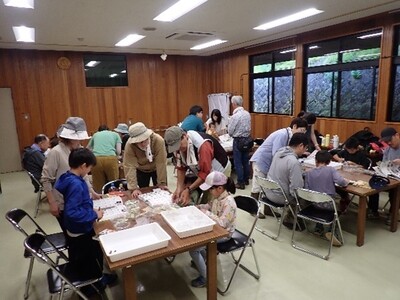 写真:大きな机の上で図鑑を広げている親子