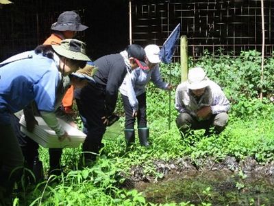 写真:網を持って池の中をのぞく子どもたち